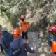 Ratusan Hektar Kawasan TNBTS di Lumajang Terbakar