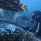 WN China Ditangkap Imigrasi di Makassar Usai Menombak dan Memasak Penyu di Raja Ampat