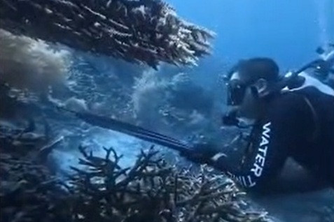 WN China Ditangkap Imigrasi di Makassar Usai Menombak dan Memasak Penyu di Raja Ampat