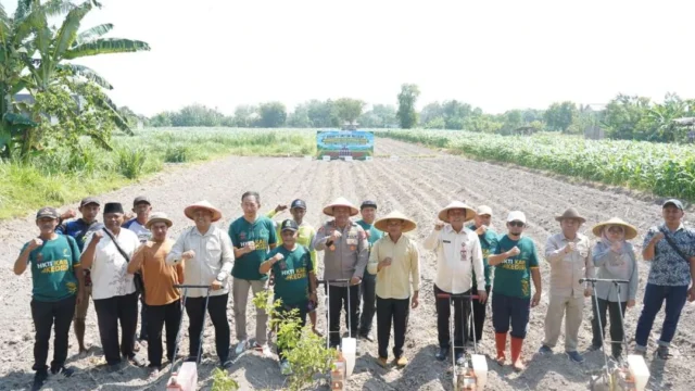 HKTI Kediri Targetkan 57.000 Hektare Tanam Jagung untuk Perkuat Swasembada Pangan